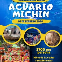 Promoción Acuario Michin